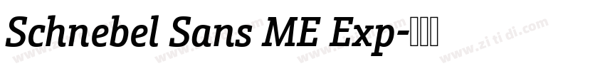 Schnebel Sans ME Exp字体转换